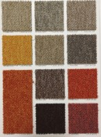 330 D-ESS | Moquette a quadrotte - Cart. Colori 1